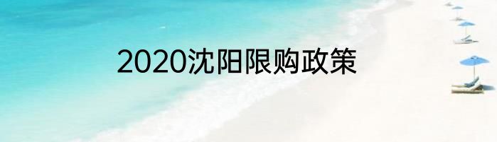 2020沈阳限购政策