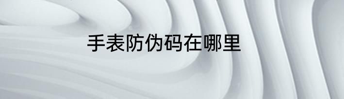 手表防伪码在哪里