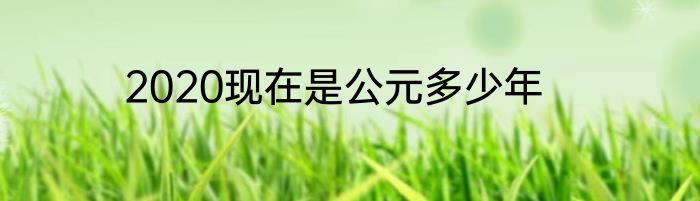 2020现在是公元多少年
