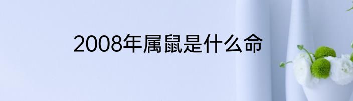 2008年属鼠是什么命