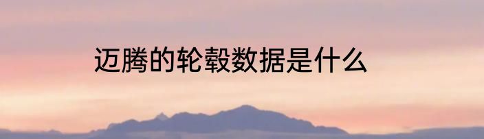 迈腾的轮毂数据是什么