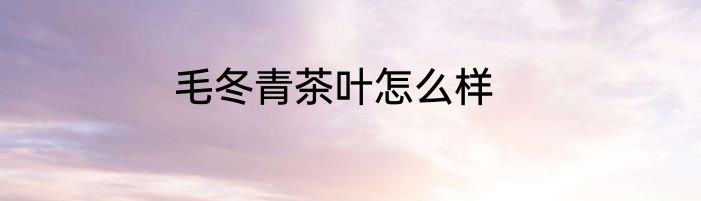 毛冬青茶叶怎么样