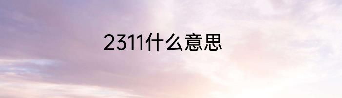 2311什么意思