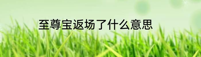 至尊宝返场了什么意思