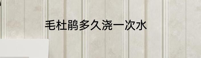 毛杜鹃多久浇一次水