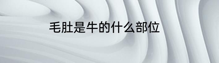 毛肚是牛的什么部位