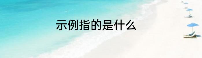 示例指的是什么