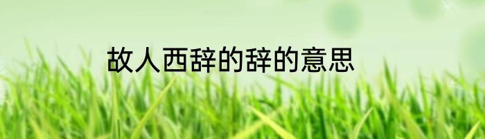 故人西辞的辞的意思