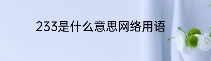 233是什么意思网络用语