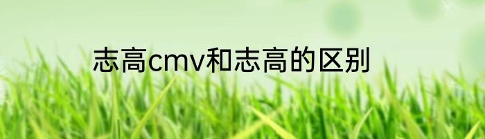 志高cmv和志高的区别