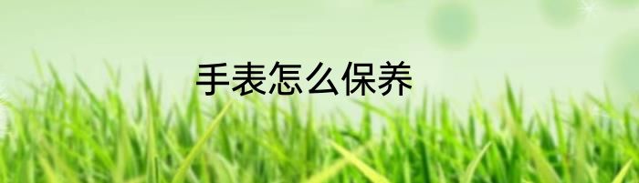 手表怎么保养