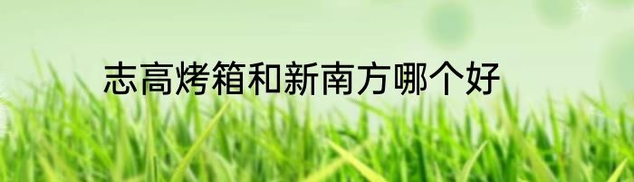 志高烤箱和新南方哪个好