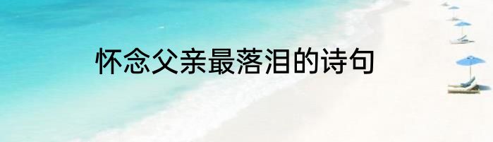 怀念父亲最落泪的诗句