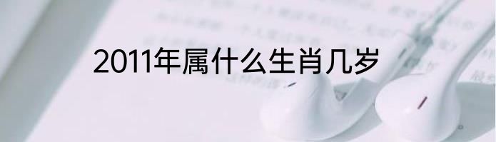 2011年属什么生肖几岁