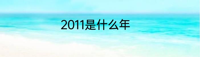 2011是什么年