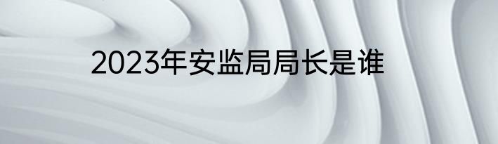 2023年安监局局长是谁
