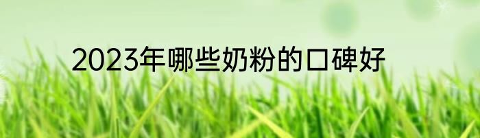 2023年哪些奶粉的口碑好