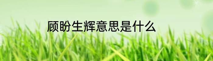 顾盼生辉意思是什么