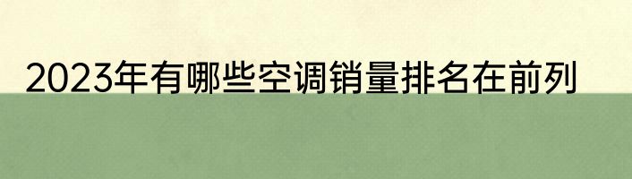2023年有哪些空调销量排名在前列