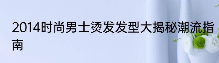 2014时尚男士烫发发型大揭秘潮流指南