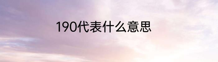 190代表什么意思