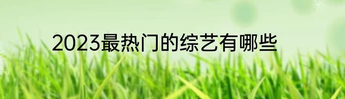 2023最热门的综艺有哪些