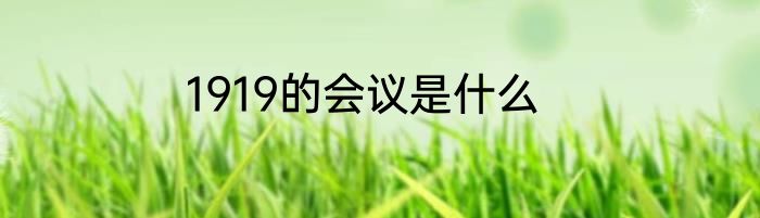 1919的会议是什么