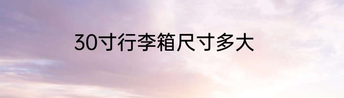 30寸行李箱尺寸多大