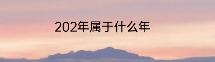 202年属于什么年