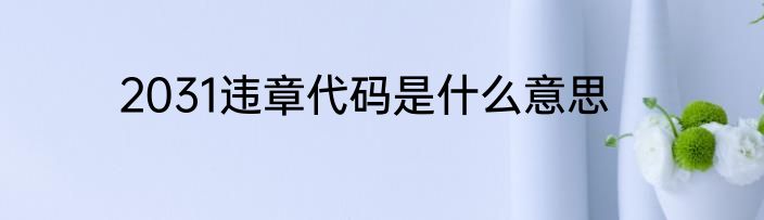 2031违章代码是什么意思