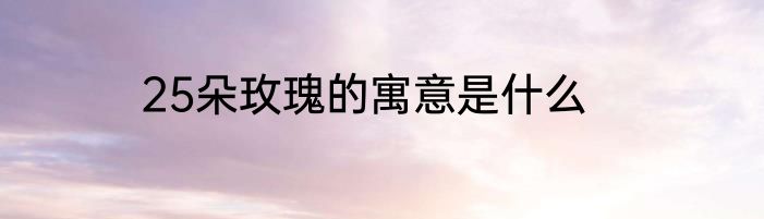 25朵玫瑰的寓意是什么