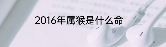 2016年属猴是什么命