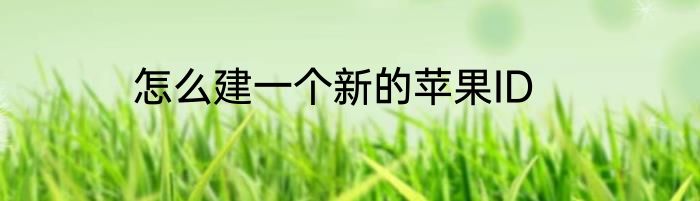 怎么建一个新的苹果ID