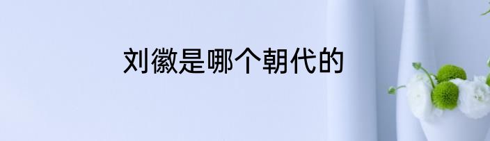 刘徽是哪个朝代的