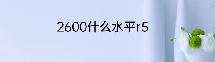 2600什么水平r5