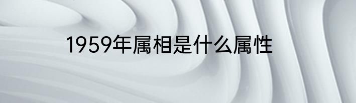 1959年属相是什么属性