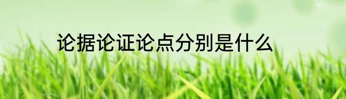 论据论证论点分别是什么