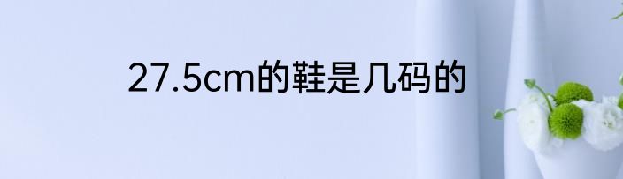 27.5cm的鞋是几码的