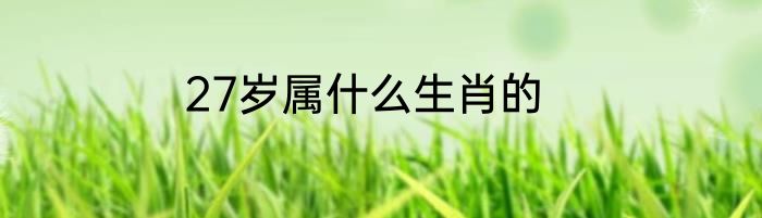 27岁属什么生肖的