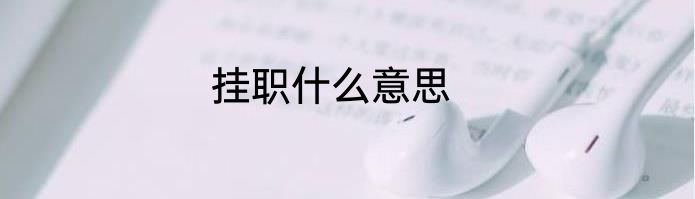 挂职什么意思