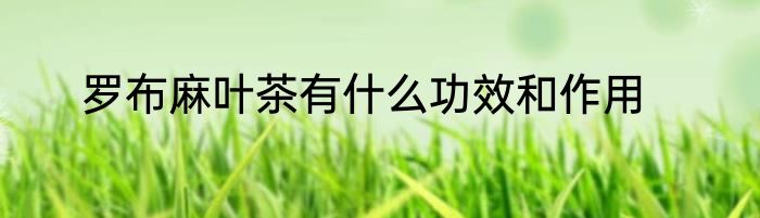 罗布麻叶茶有什么功效和作用