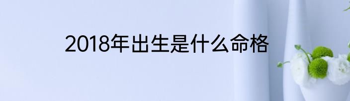 2018年出生是什么命格