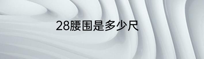 28腰围是多少尺