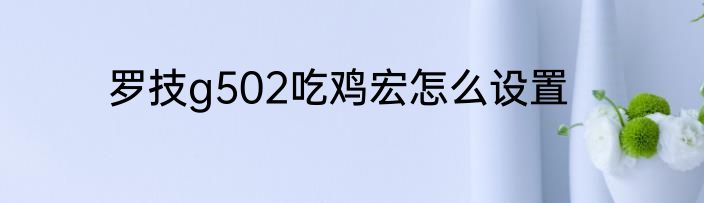 罗技g502吃鸡宏怎么设置