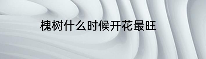 槐树什么时候开花最旺