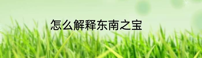 怎么解释东南之宝
