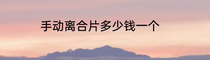 手动离合片多少钱一个