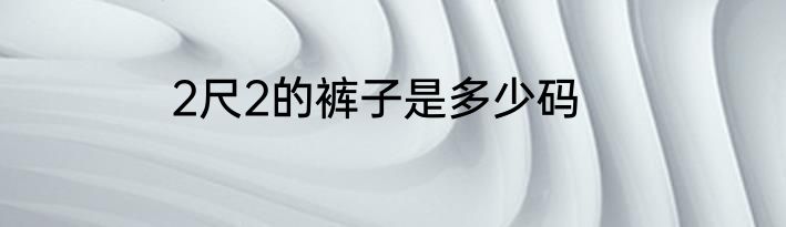 2尺2的裤子是多少码