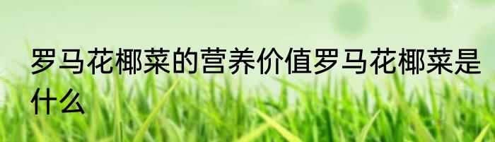 罗马花椰菜的营养价值罗马花椰菜是什么