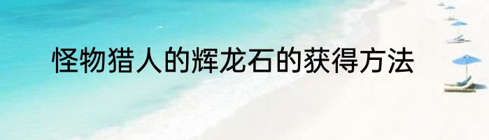 怪物猎人的辉龙石的获得方法